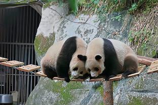 意大利足协：国家队欧洲杯训练基地设在德国伊瑟隆，6月10日抵达